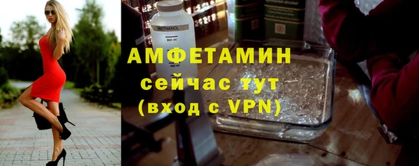сатива Беломорск