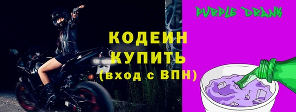 шишки Белокуриха