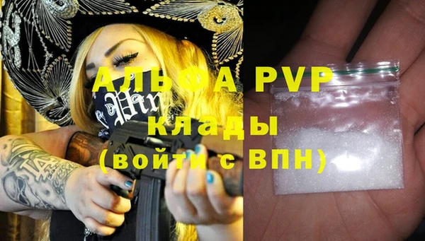 сатива Беломорск