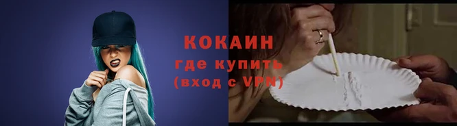 сатива Беломорск