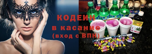 шишки Белокуриха