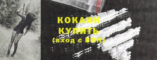 шишки Белокуриха